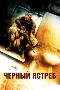 постер фильма Чёрный ястреб